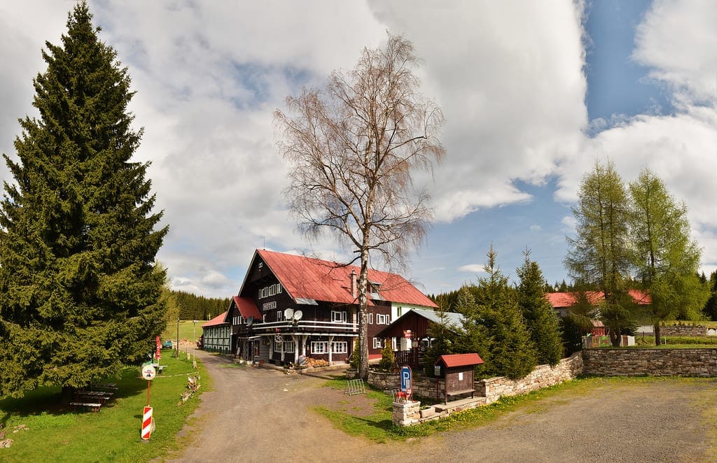 Zufahrtsweg zum Hotel zwischen Fichten und Birken