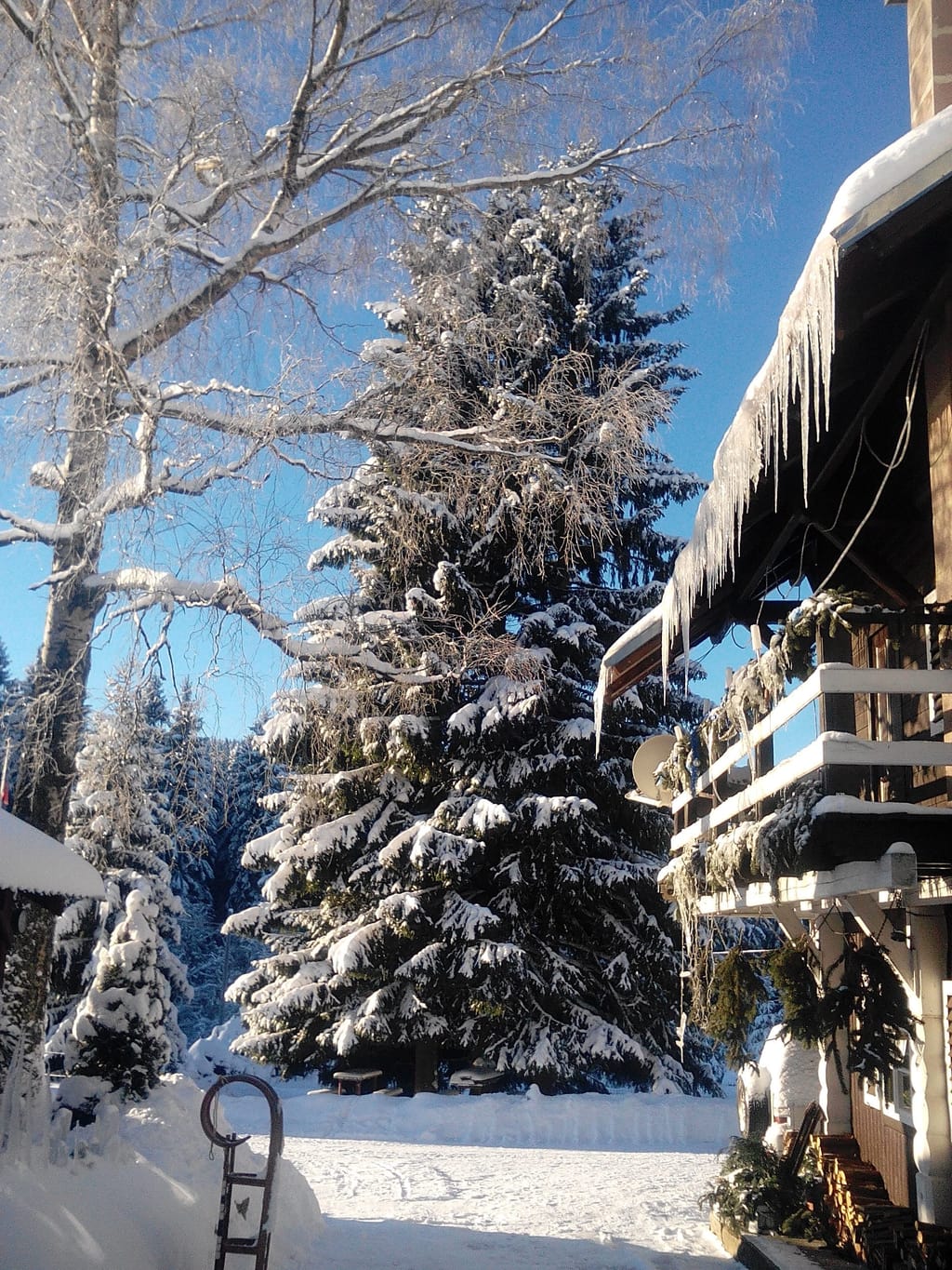 Zasněžené smrky a balkon hotelu v zimním slunci