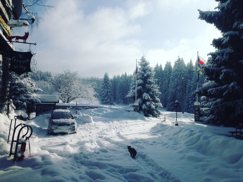 Hotel Červena Liška - terasa
