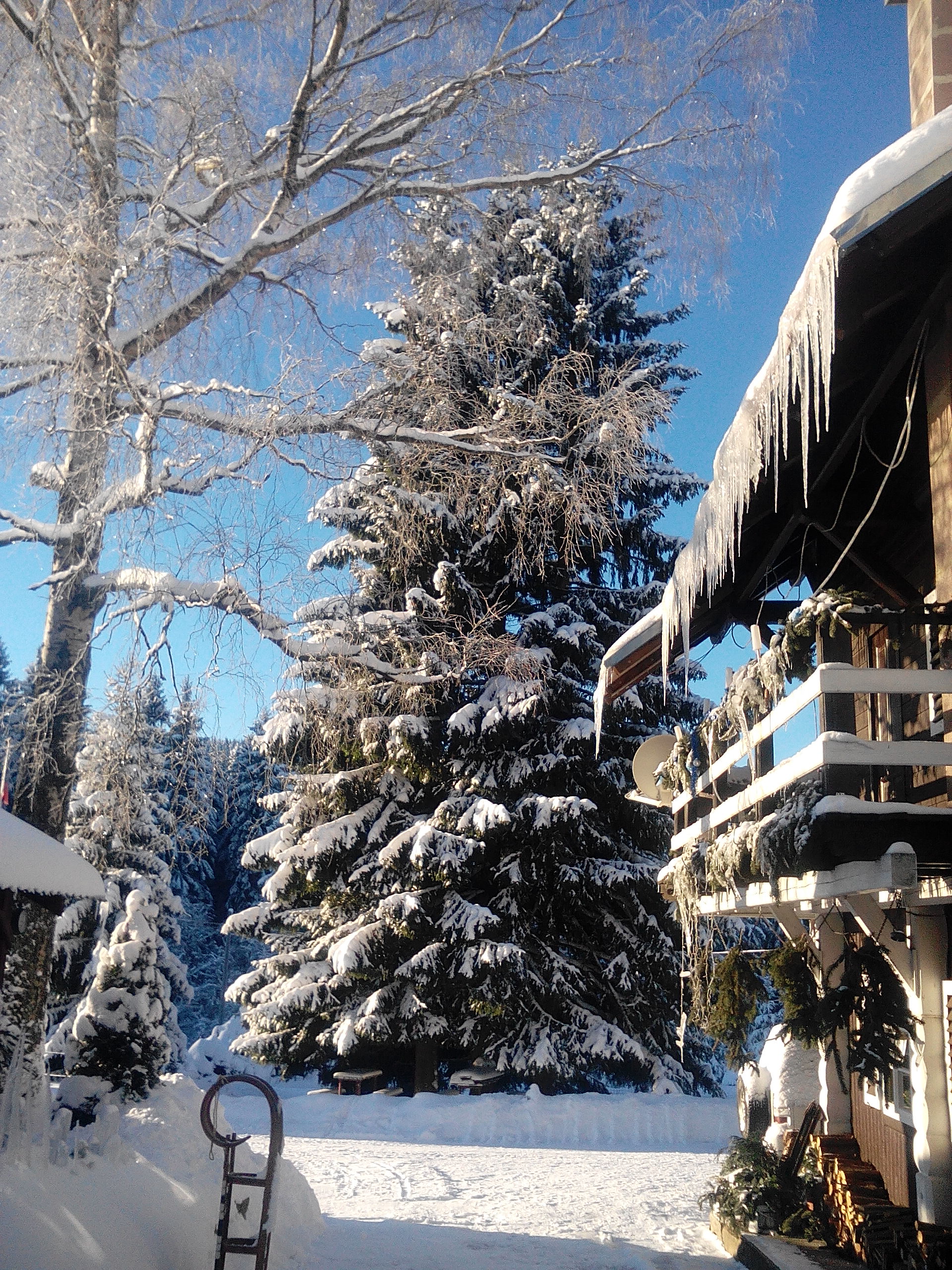 Hotel Červena Liška - okolí